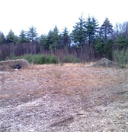 691 Chase Rd, Lunenburg, MA 01462